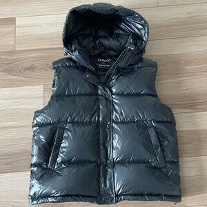 Quince Hooded Puffer Vest